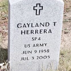 Gayland T Herrera